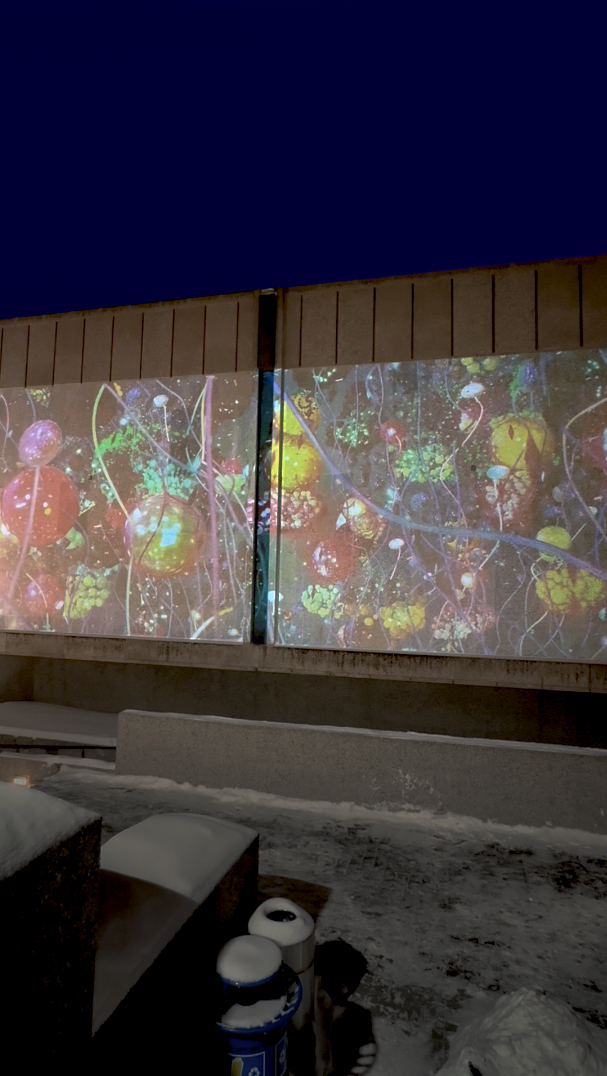 Lights On The Exchange 2025